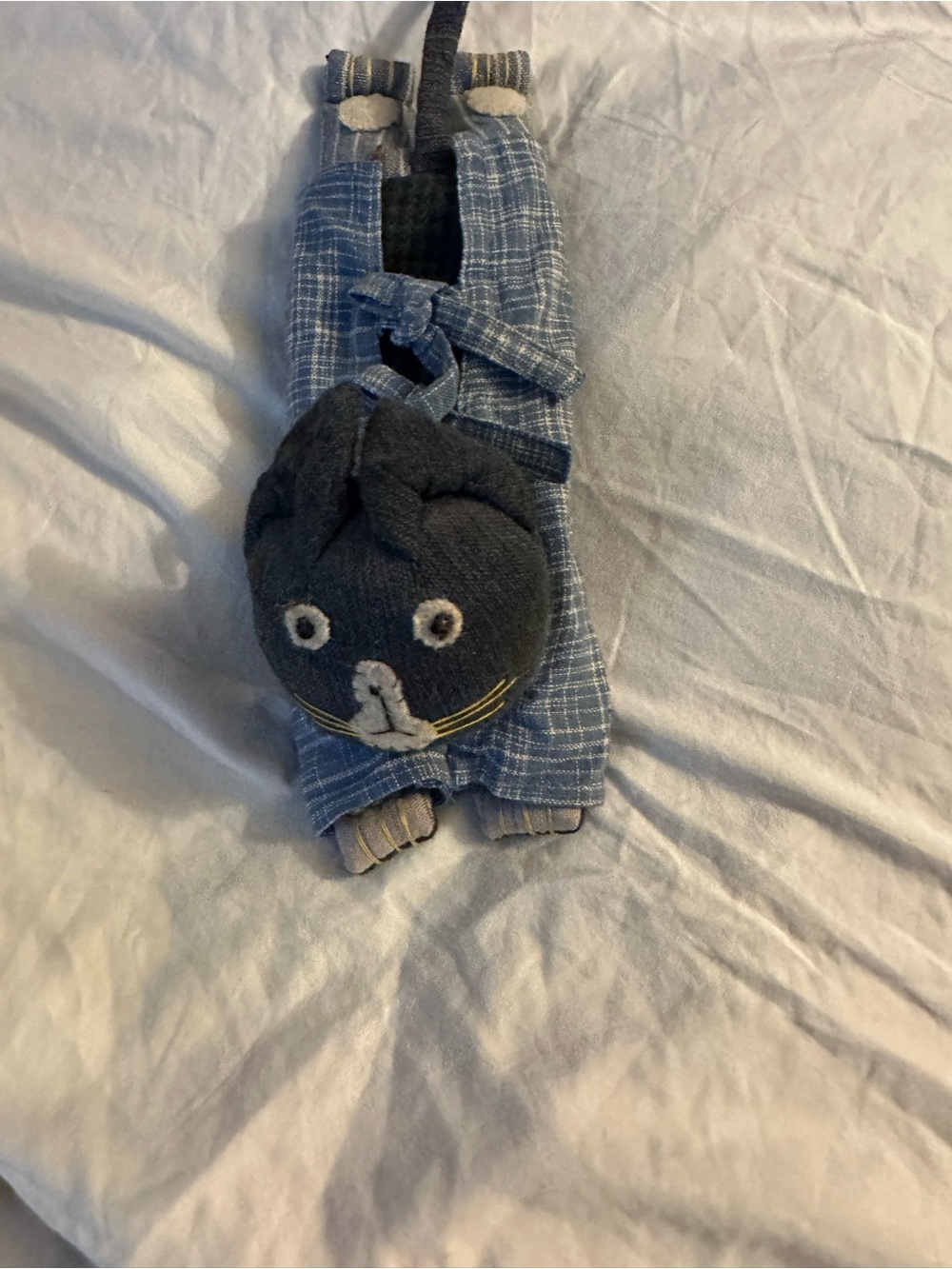Blue cat eye pillow